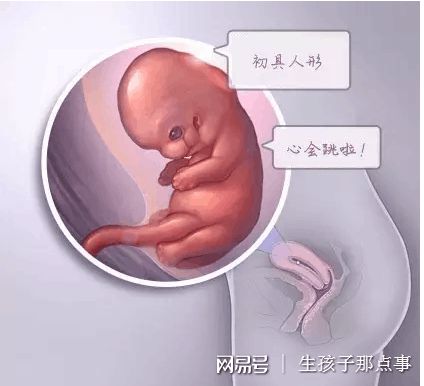 关于单身生子助孕机构